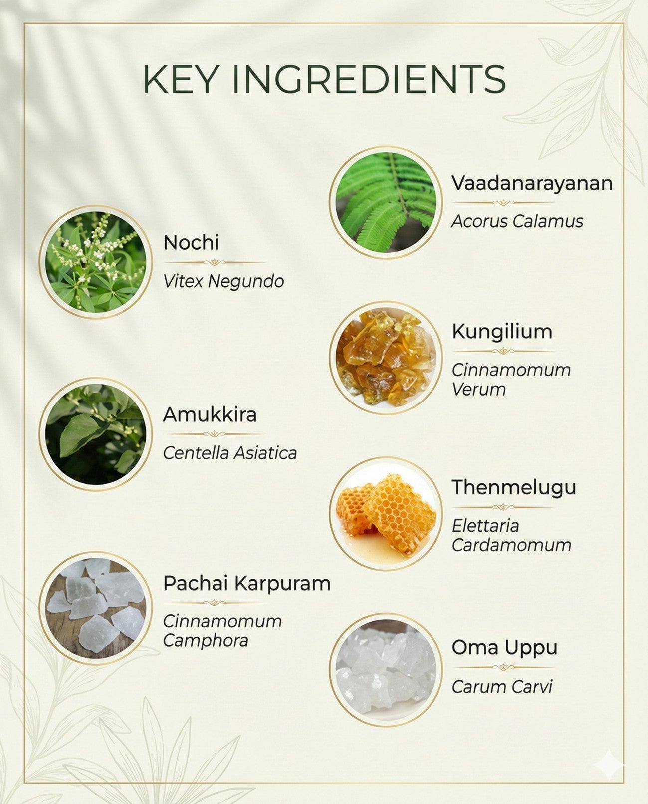 Skinnova Instant Pain Relief Gel – Soothing Muscle & Joint Massage Gel | BUY 1 GET 1 FREE | ₹499